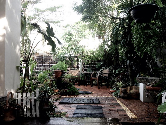 frontyard garden renovation (15)