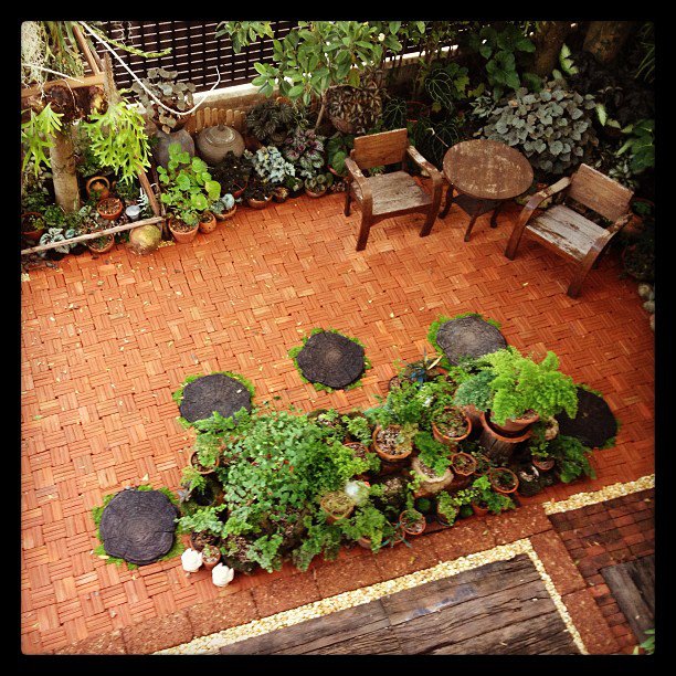 frontyard garden renovation (18)
