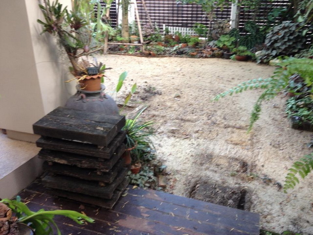frontyard garden renovation (2)