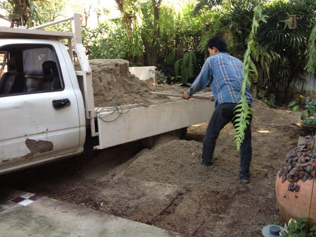 frontyard garden renovation (4)