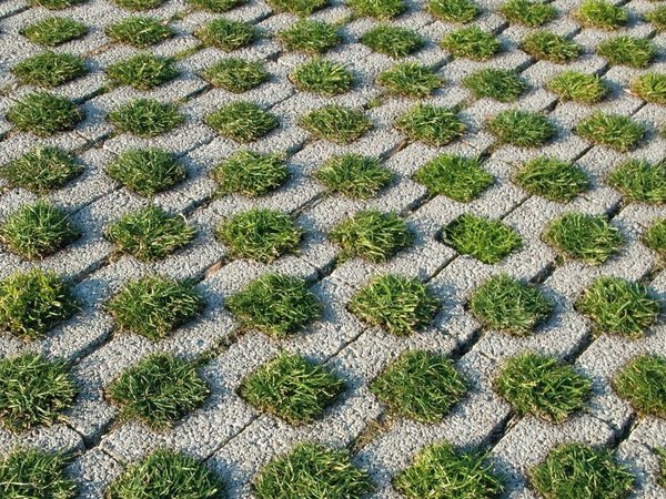 grass paver for courtyard (3)