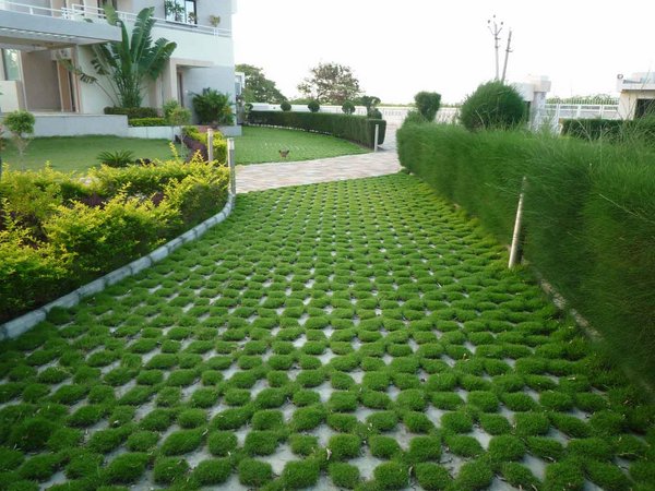 grass paver for courtyard (4)