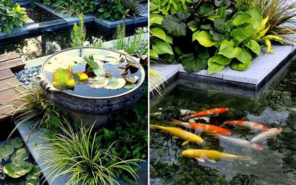 Creating Fish Pond In Garden House : Luxury And Elegant Home Design In The World