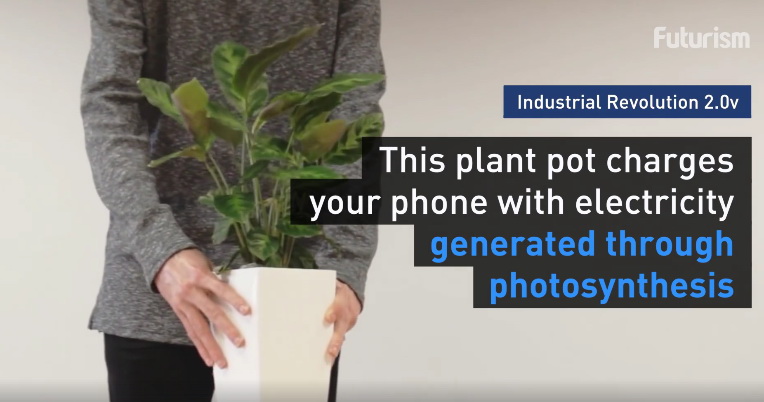 photosynthesis-phone-charger (2)