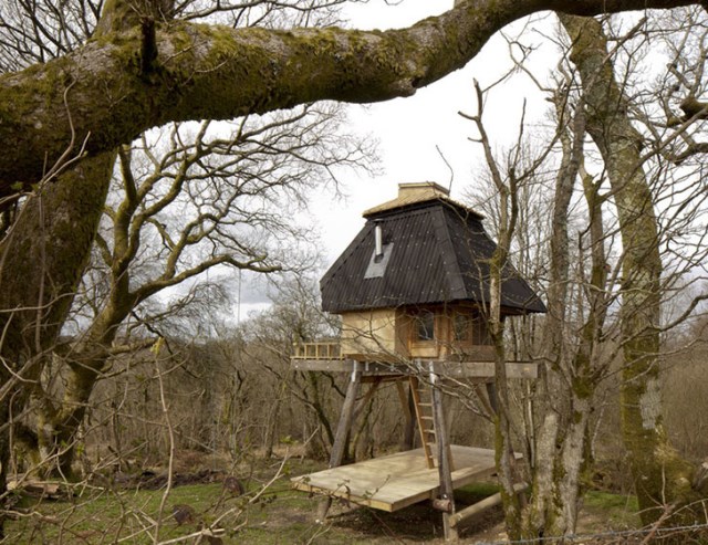 tiny-hut-on-stilts-house (13)