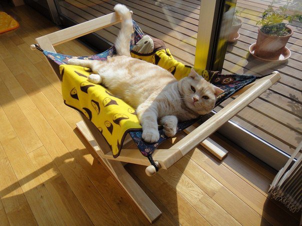 30-ideas-to-make-cool-cozy-bed-for-cat (2)