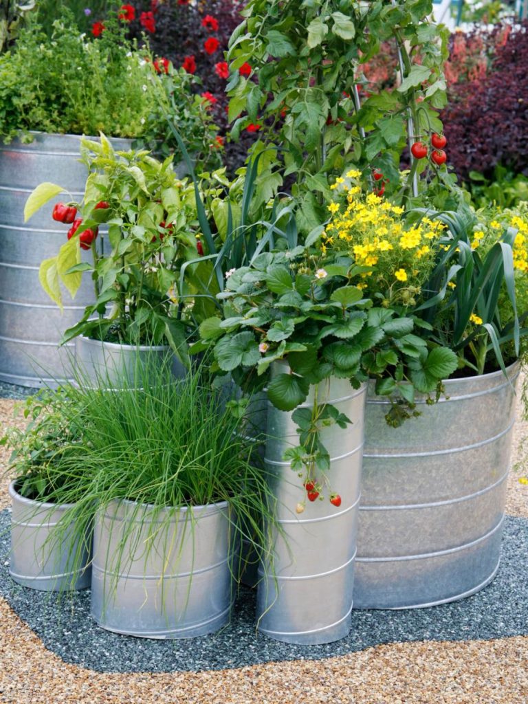 31 ideas for vegetable gardens and gardens (23)