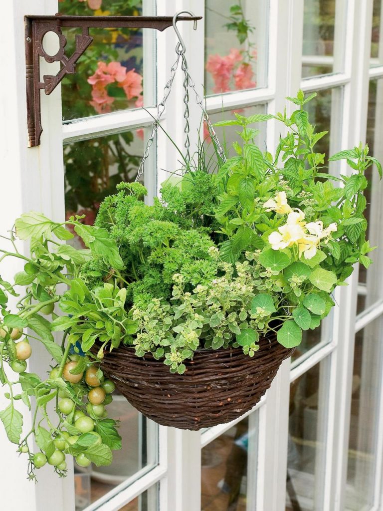 31 ideas for vegetable gardens and gardens (25)