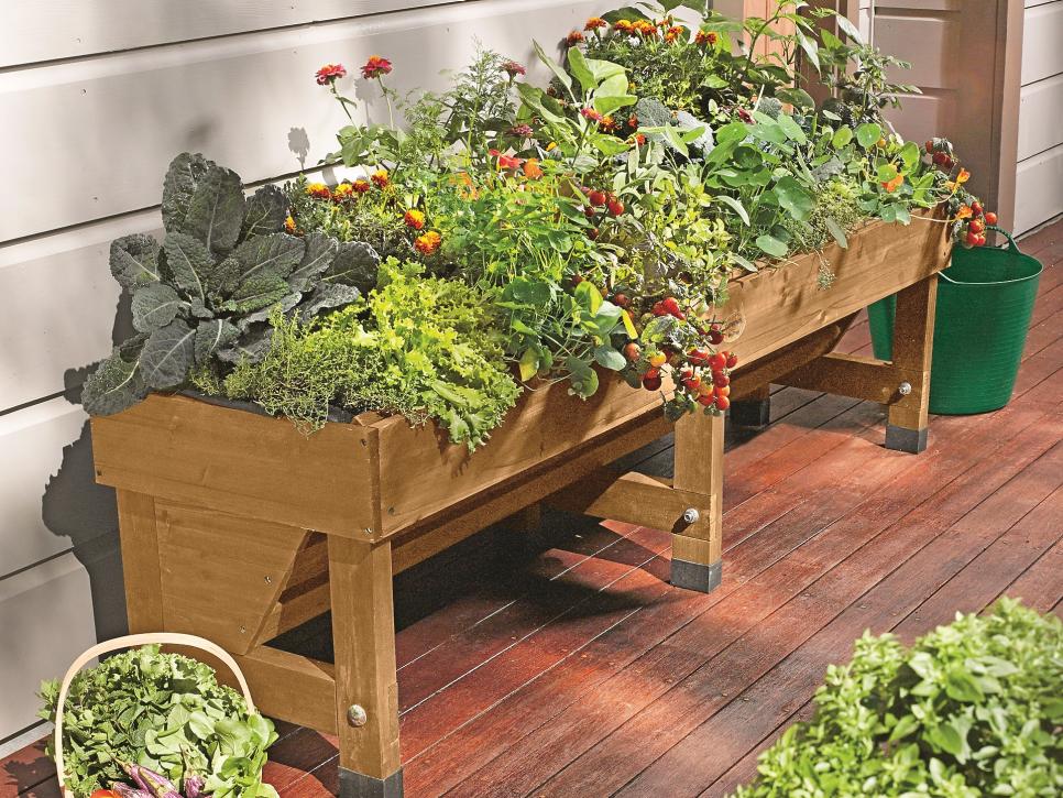 31 ideas for vegetable gardens and gardens (29)