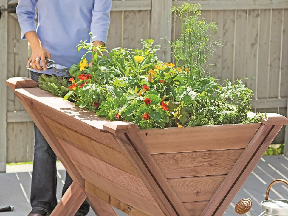 31 ideas for vegetable gardens and gardens (31)