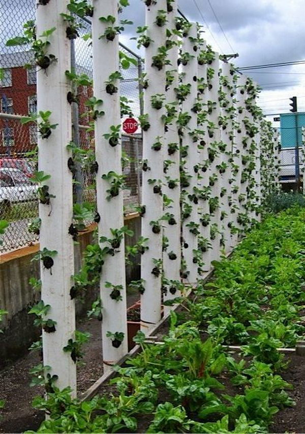 34 idealdiy vertical Vegetable garden (17)