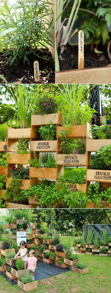 34 idealdiy vertical Vegetable garden (21)