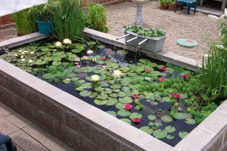 46 beautiful fish pond ideas (23)