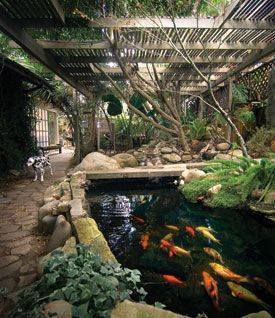 46 beautiful fish pond ideas (29)