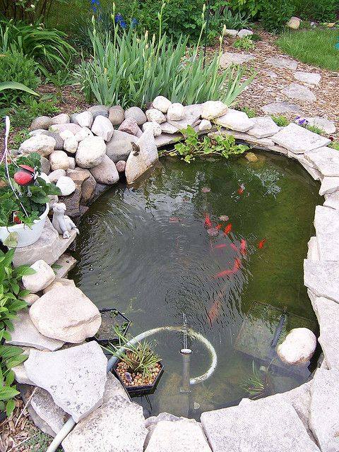 46 beautiful fish pond ideas (34)