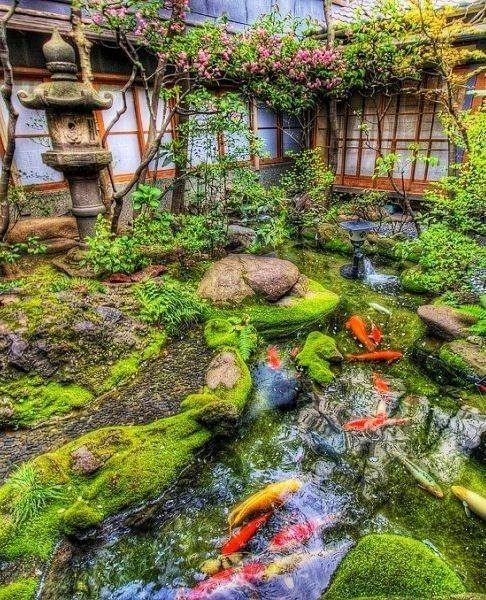 46 beautiful fish pond ideas (36)
