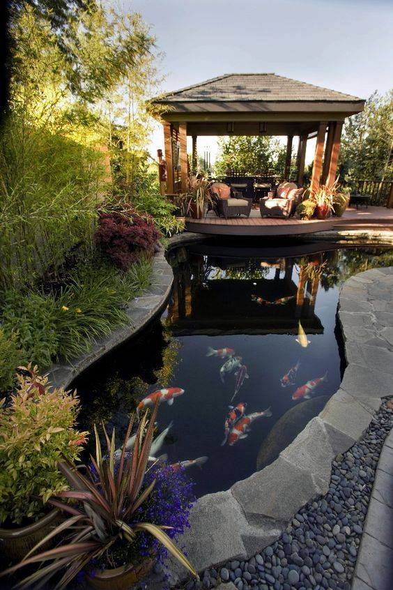 46 beautiful fish pond ideas (37)