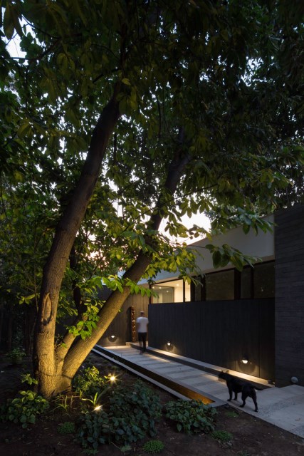 Modern house modern materials between nature (3)