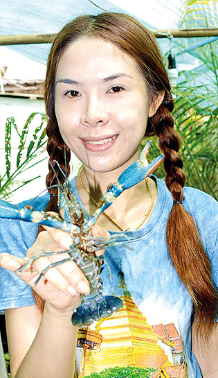 Red claw Crayfish occupation (3)