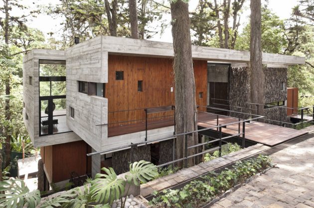 concrete-home-forest-side (6)