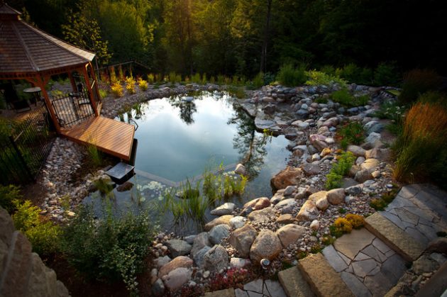 17-engrossing-natural-swimming-pools (1)