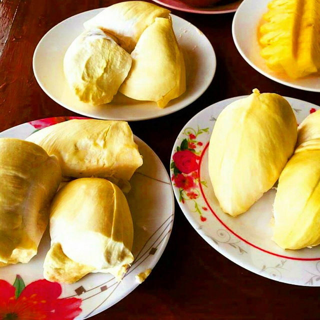 durian cheese pie recipe (6)