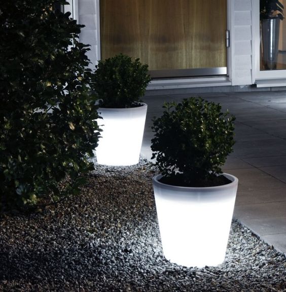 15-astonishing-illuminated-planter-designs (5)