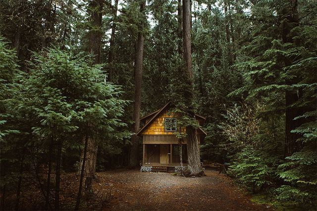 45 cozy-cabins-in-the-woods (22)