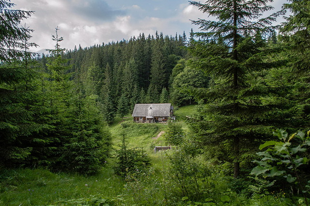 45 cozy-cabins-in-the-woods (31)