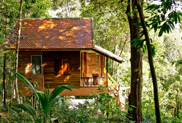 eco-wooden-resort-cottage-in-jungle-1