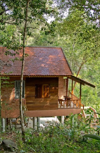 eco-wooden-resort-cottage-in-jungle-2