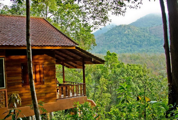 eco-wooden-resort-cottage-in-jungle-4