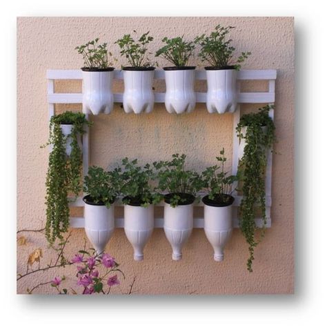 diy-and-creative-plastic-bottles-as-a-planter-ideas-5