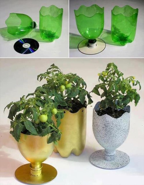 diy-plastic-bottle-planter