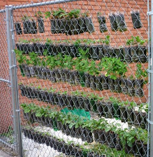 diy-plastic-bottle-vertical-garden