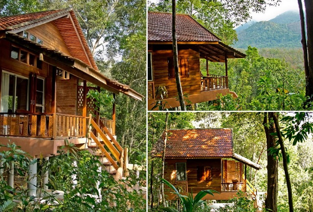 eco-wooden-resort-cottage-in-jungle-cover