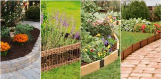 25 ไอเดีย “แปลงสวนหย่อม” เปลี่ยนสวนธรรมดาให้สวยงามมีสไตล์ยิ่งกว่าเดิม