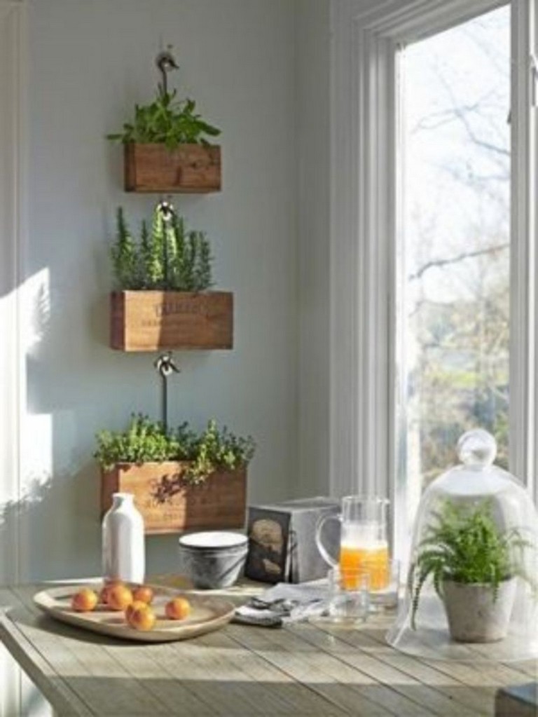 20 ไอเดีย “สวนสมุนไพรในบ้าน” เปลี่ยนมุมเปล่าในบ้านให้มีประโยชน์ ด้วย