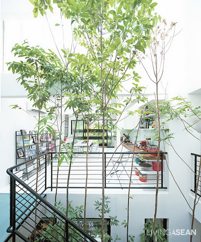9 ไอเดีย “ออกแบบสวนในบ้าน” สร้างความสดชื่นและพื้นที่สีเขียว ให้แนบชิด ...